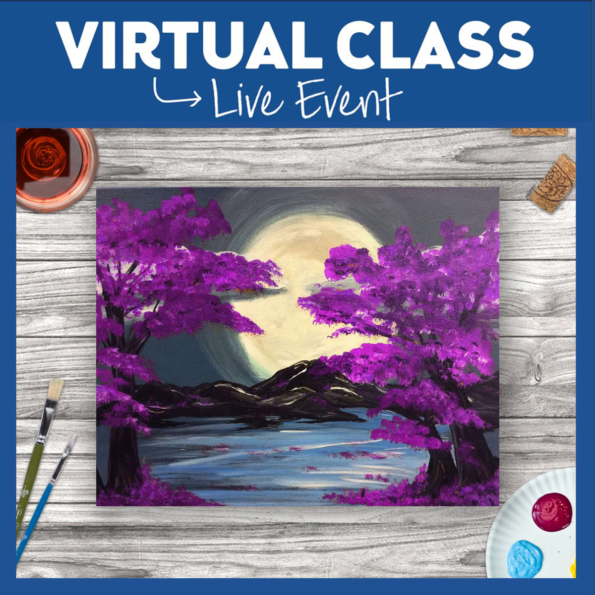 LIVE INTERACTIVE VIRTUAL CLASS
